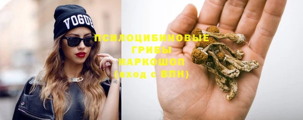 герыч Арсеньев