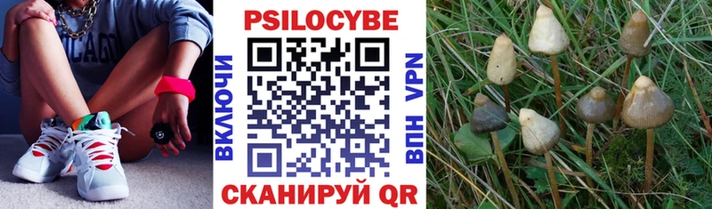 Псилоцибиновые грибы мицелий  Купить  Струнино 